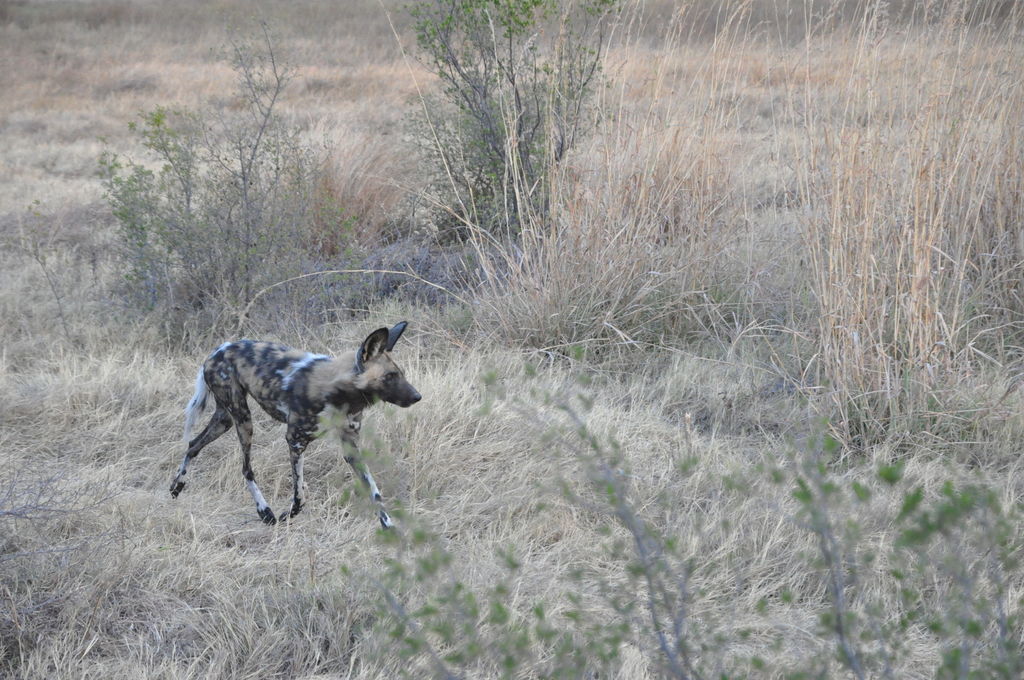 91e99a74-d353-4aee-a043-0ed7a597761b