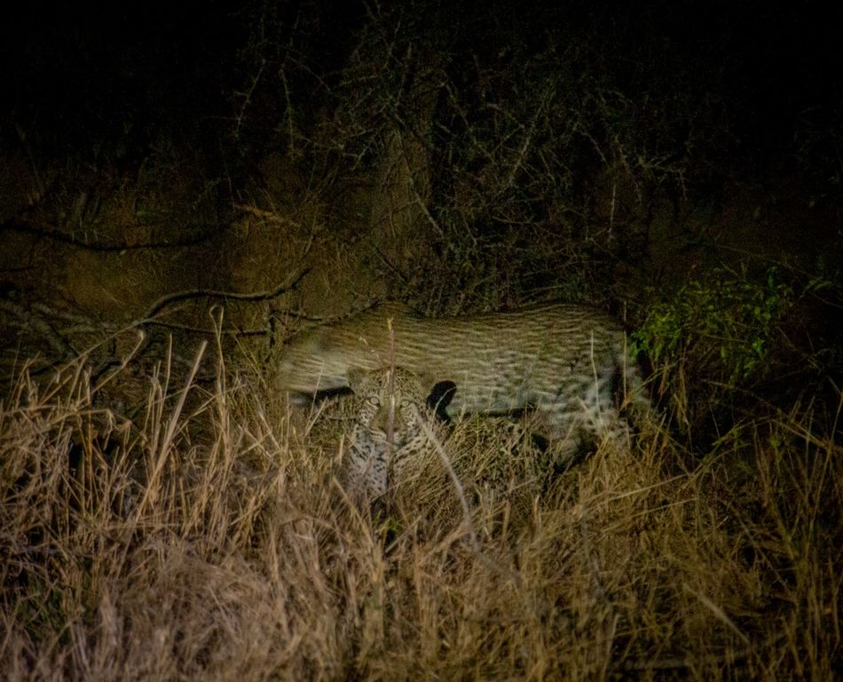 2140422b-874f-4c66-9e05-bf03760546d1