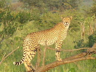 f8038d85-50c9-4366-87ac-5bda06bc684d