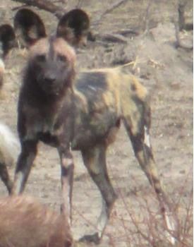 57f32bf8-df38-48b1-8c1a-88569948f8ec