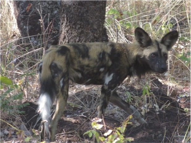 96498550-e544-4326-807d-7711e7f6583c