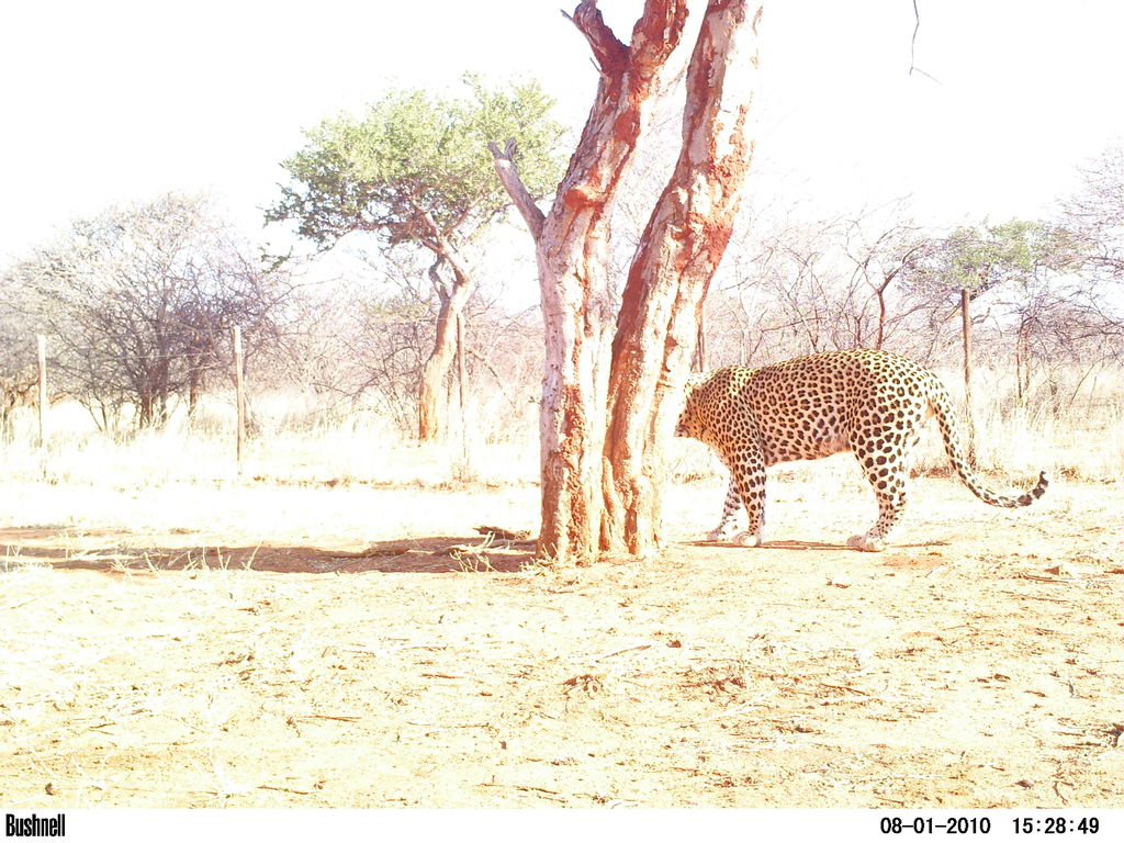 220e6e43-0723-4068-9d2b-08c125017361