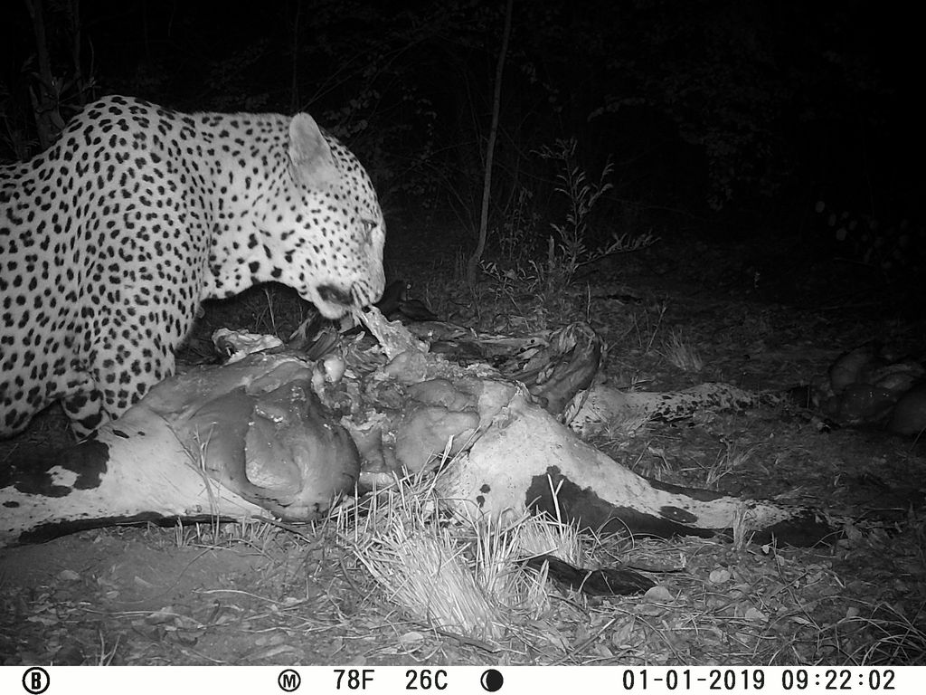 32b33b88-a09c-4694-a971-426d5227fe50