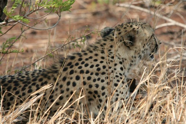 07eb1c27-d61d-44e8-9919-36e5885849c7