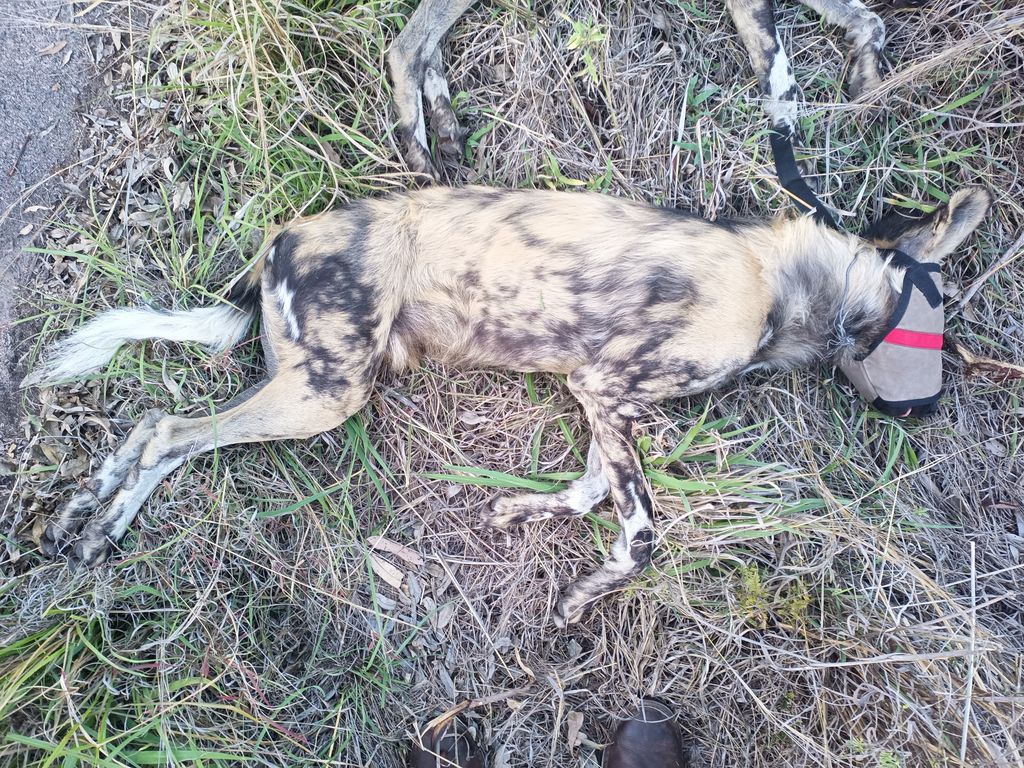 b052d5eb-91a9-470f-bdcf-bd67edd7f68f