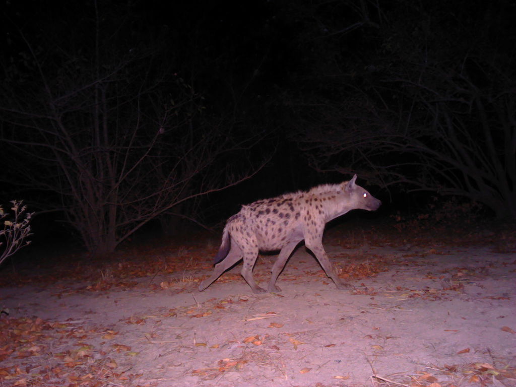 ef8425d1-e1c1-485b-a046-e6eb292b72f5