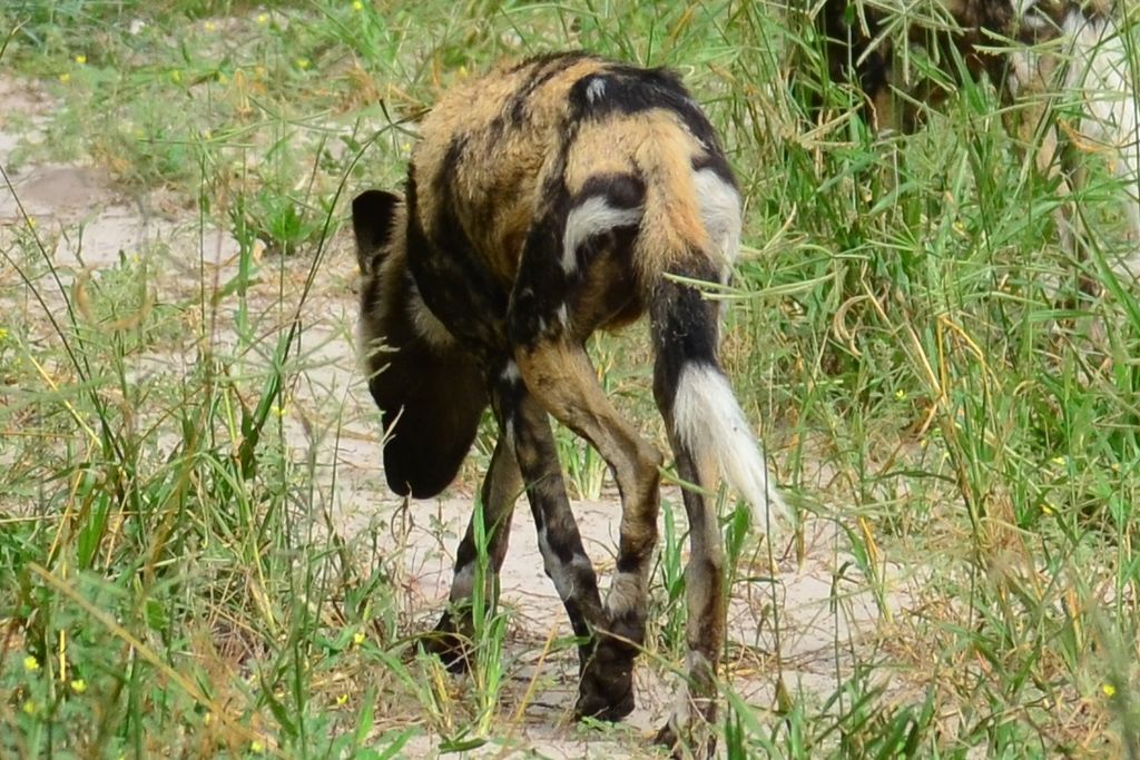 13836c95-588c-4e21-9d6f-fc41798277ea