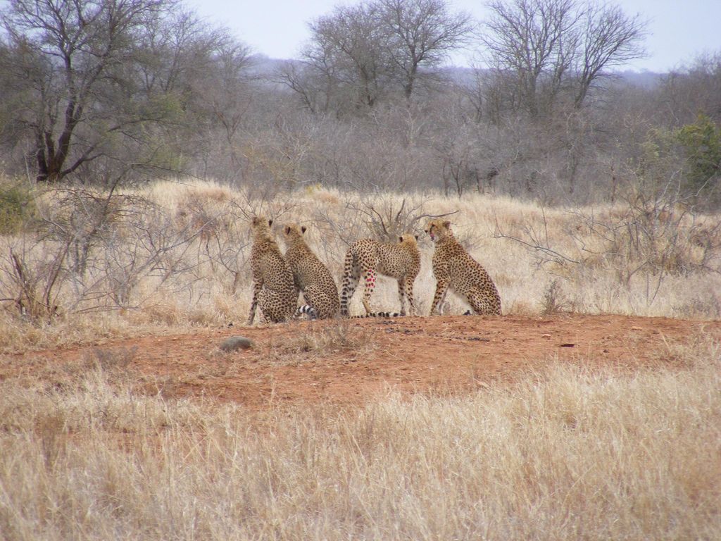 f623f117-1dd6-49b6-bc26-821920c54781