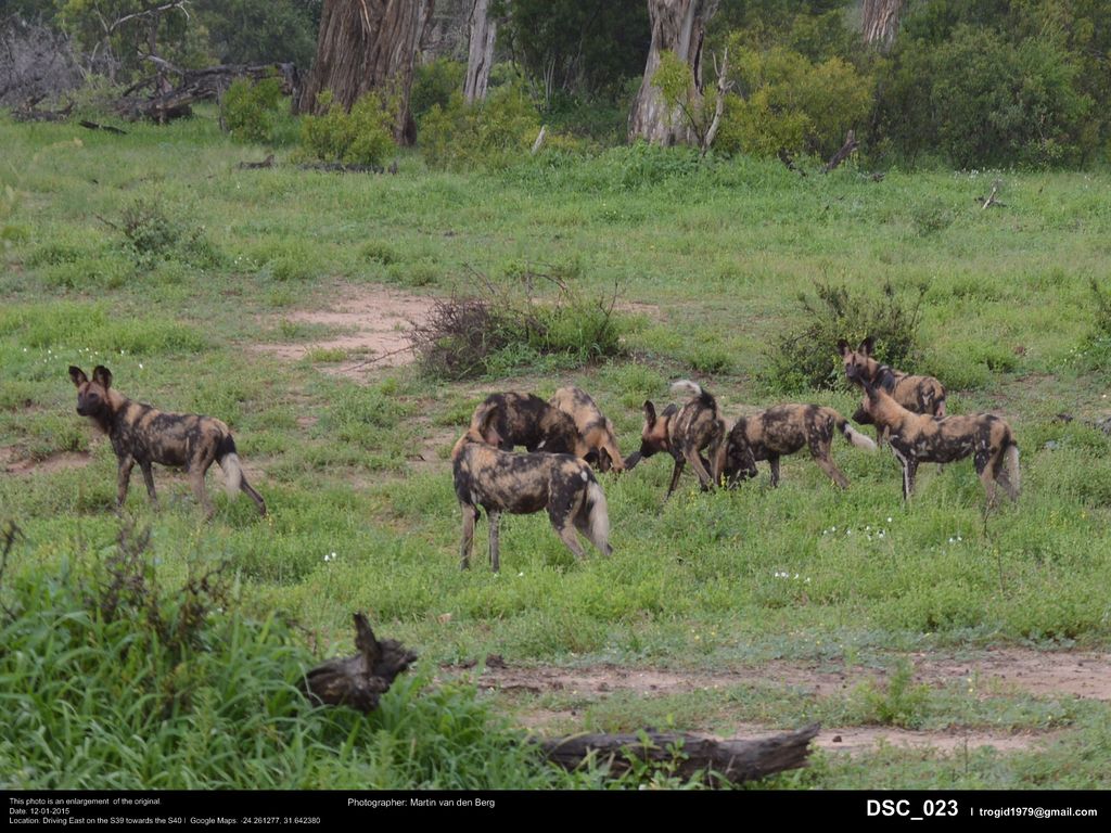 cfdac617-9c20-410d-bdef-d7ed71b82e5b