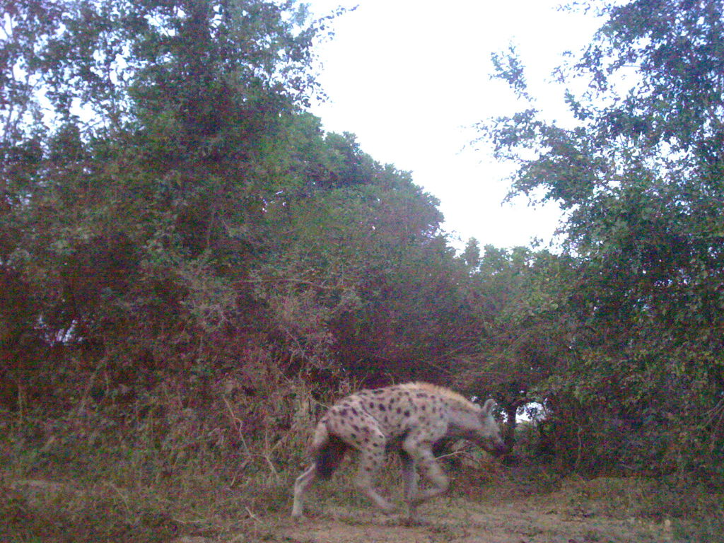 d6f4a29a-0ffa-468d-bbc9-3e7252211028