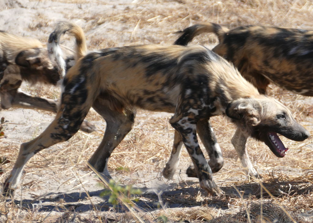 119cd921-b468-4d77-b949-db19c60fd395