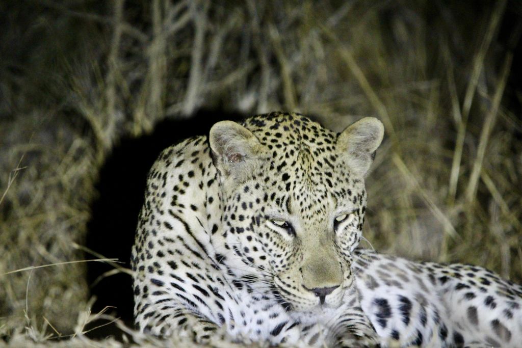 2140422b-874f-4c66-9e05-bf03760546d1