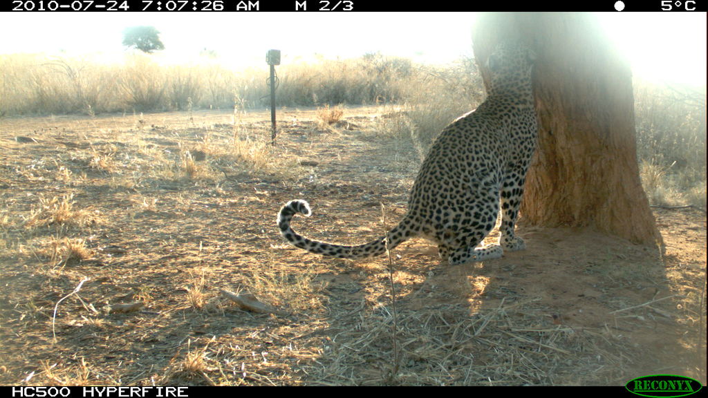 271c8bfa-8dff-44d5-9d4e-72007d7ba700