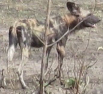 57f32bf8-df38-48b1-8c1a-88569948f8ec