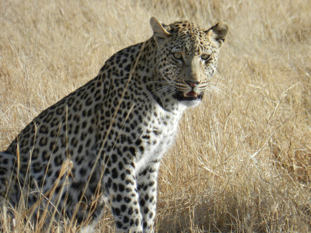 1e869eda-07c6-4f08-a932-d9a04c207dbf