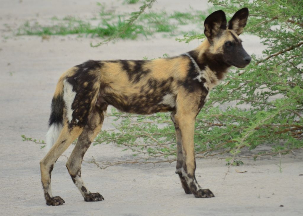 13836c95-588c-4e21-9d6f-fc41798277ea