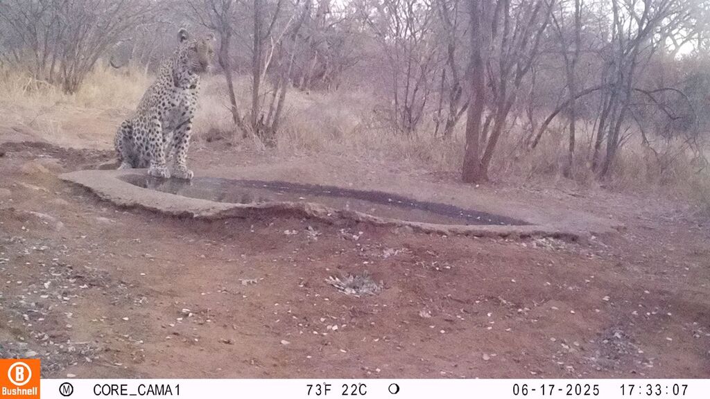 669d9632-34c5-4888-b5b7-d0cced10706d