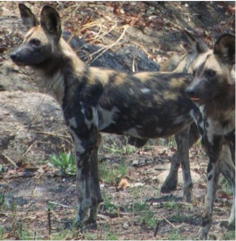 861df5db-e31c-4d98-abe6-024b8068b32e