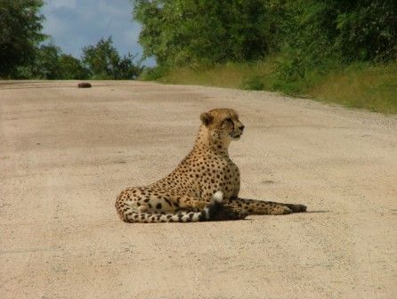 2922d46c-4911-4d15-acba-385b8024f92d