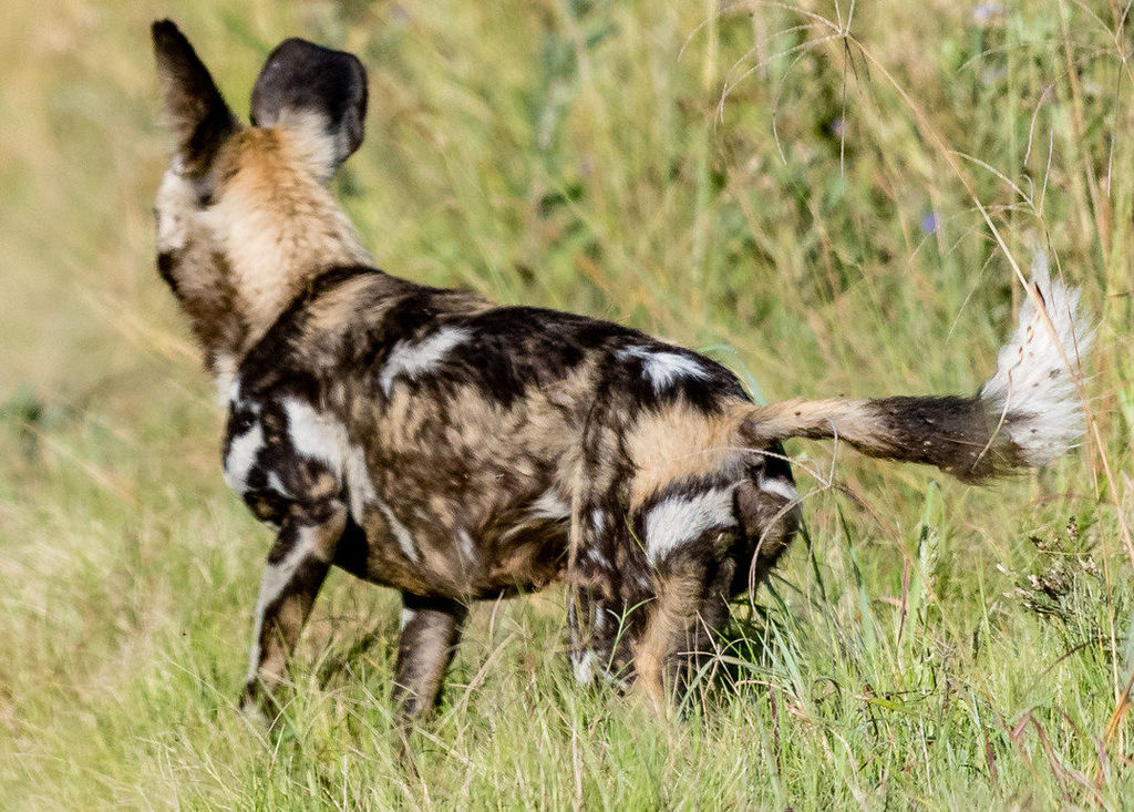 a8312eb8-1845-49ea-92ce-da33fa09511b