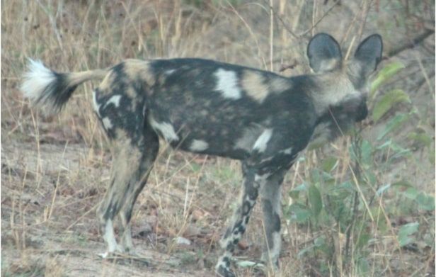 192d5331-52bb-4e7f-a550-62713b75b916