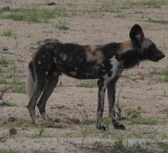 c5417188-7ff3-49b6-9920-347be5cf9389