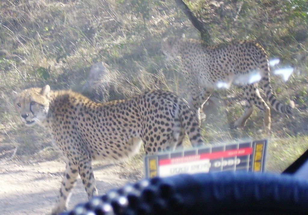 f8038d85-50c9-4366-87ac-5bda06bc684d