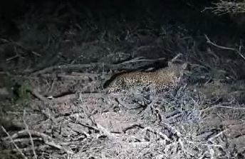 98c79027-002e-4998-b787-3808a1bf6df7