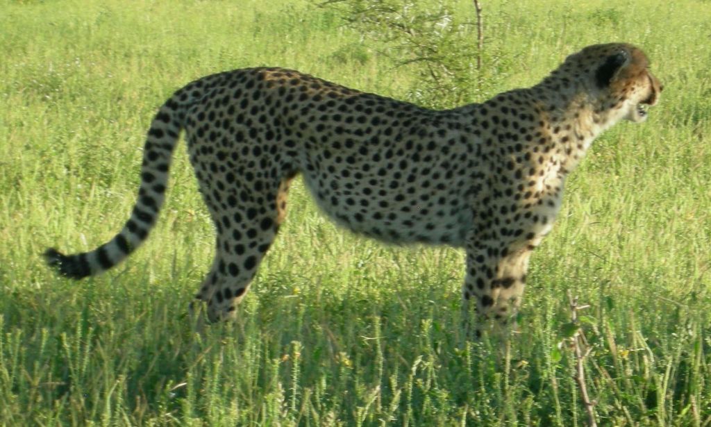 65cde951-ae02-46d0-b05d-5a32badd5049