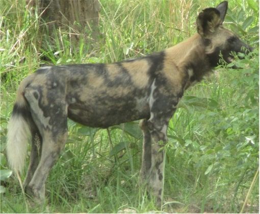 edc1741a-74e2-406e-a5ae-e4a52df40621