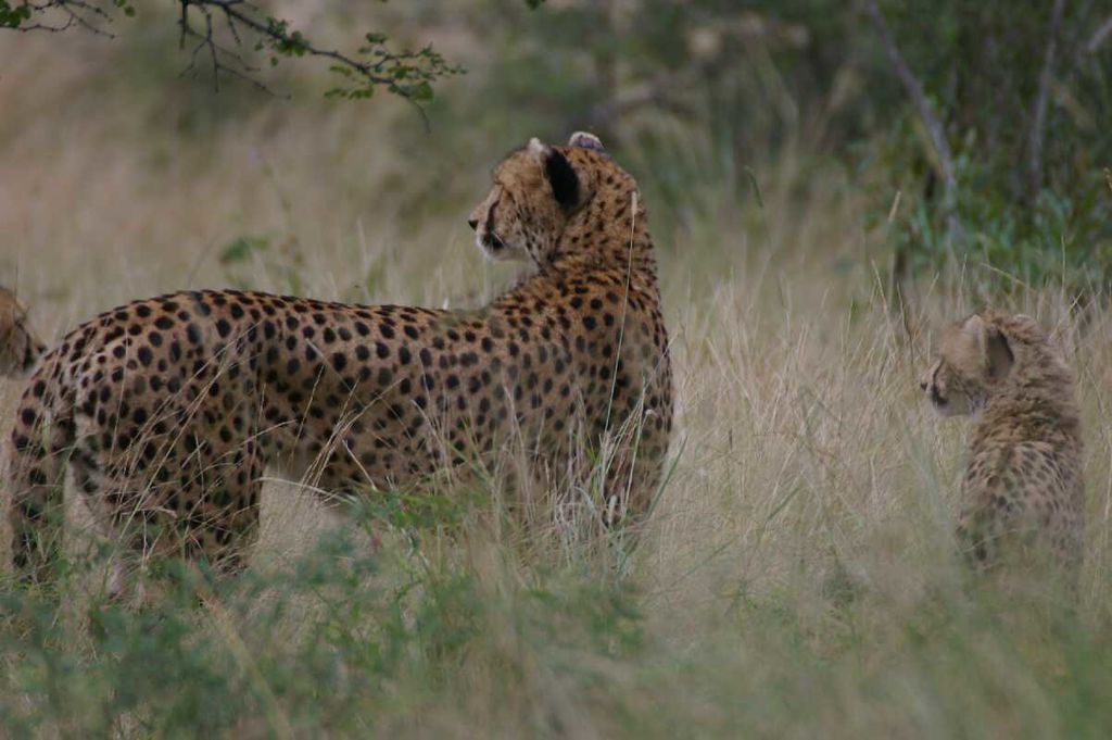 f623f117-1dd6-49b6-bc26-821920c54781