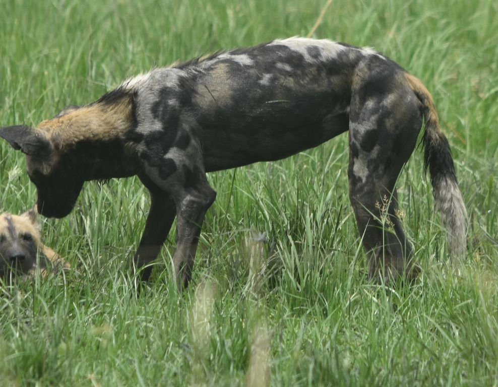 847576de-ba65-4b66-a3a8-f81e84535841