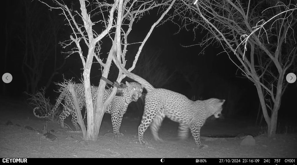 98c79027-002e-4998-b787-3808a1bf6df7