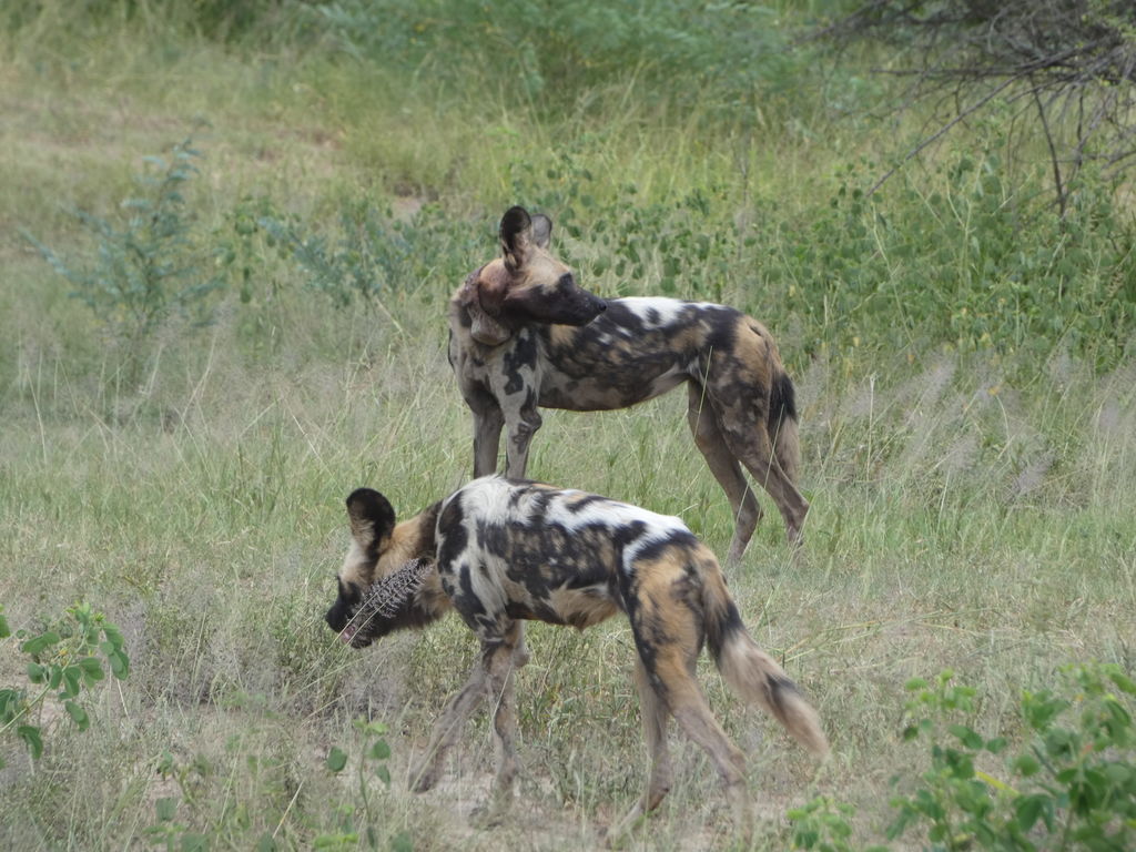 847576de-ba65-4b66-a3a8-f81e84535841