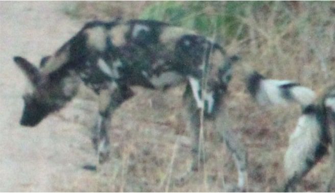 192d5331-52bb-4e7f-a550-62713b75b916