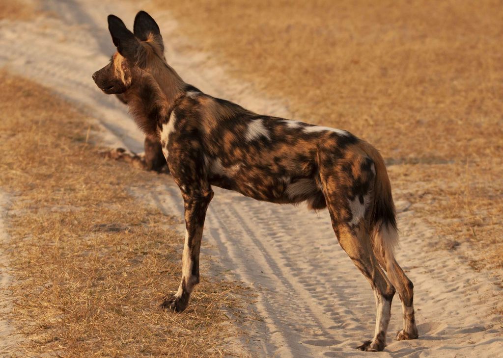 dcee7cf7-e826-42a0-8adc-d7ffd44feed2