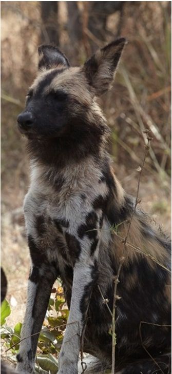 1c9fe997-a728-4ed1-b6aa-b4b42b976546