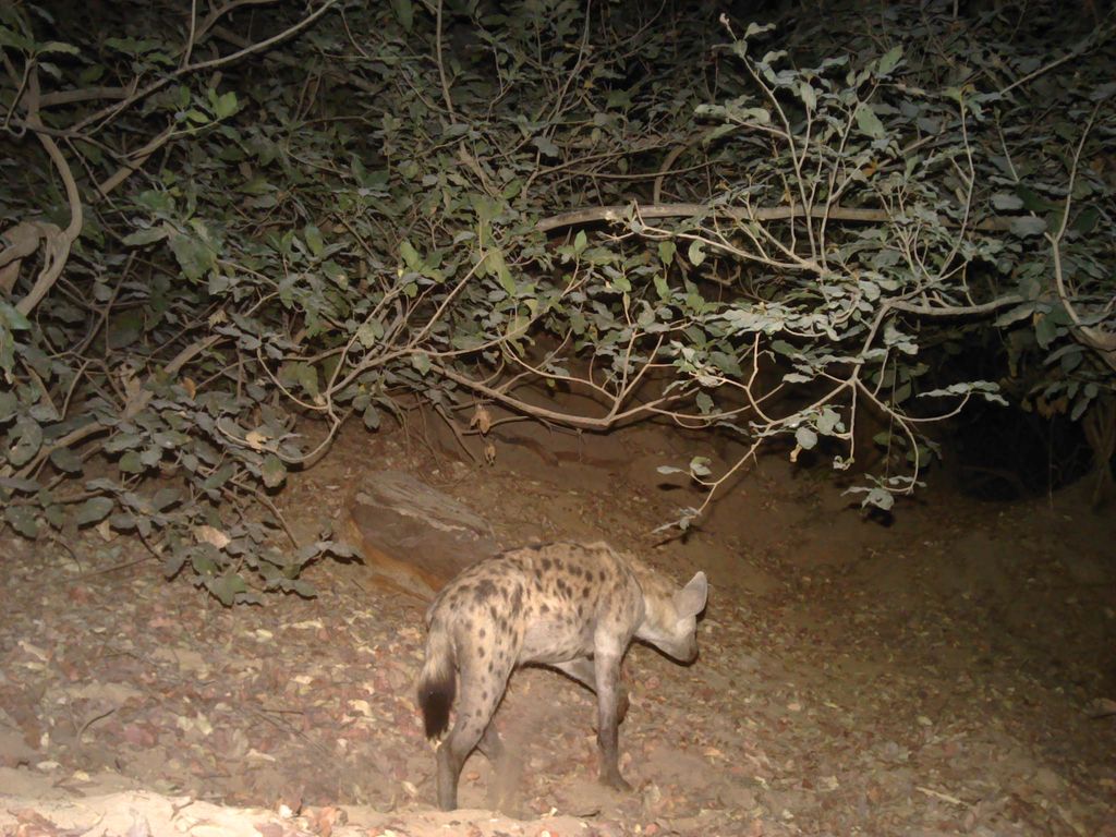 eb9bce50-5e6e-4653-a525-abe0eedf744b