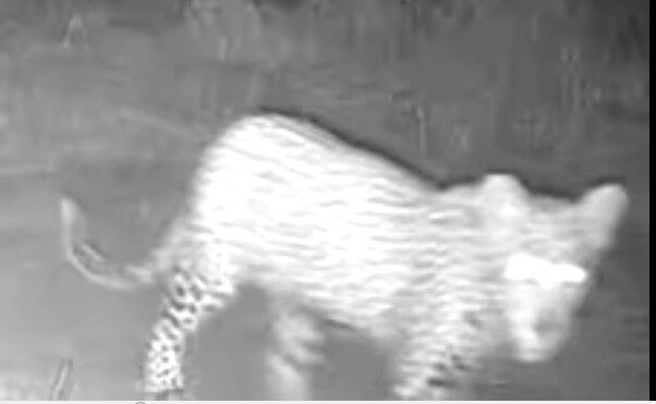 089c5c37-b1c2-4bbe-8f54-c54198fc6a02