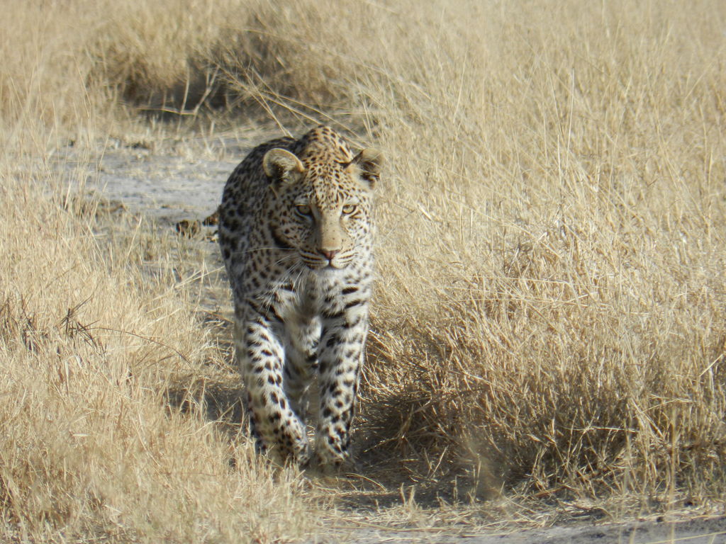 1e869eda-07c6-4f08-a932-d9a04c207dbf