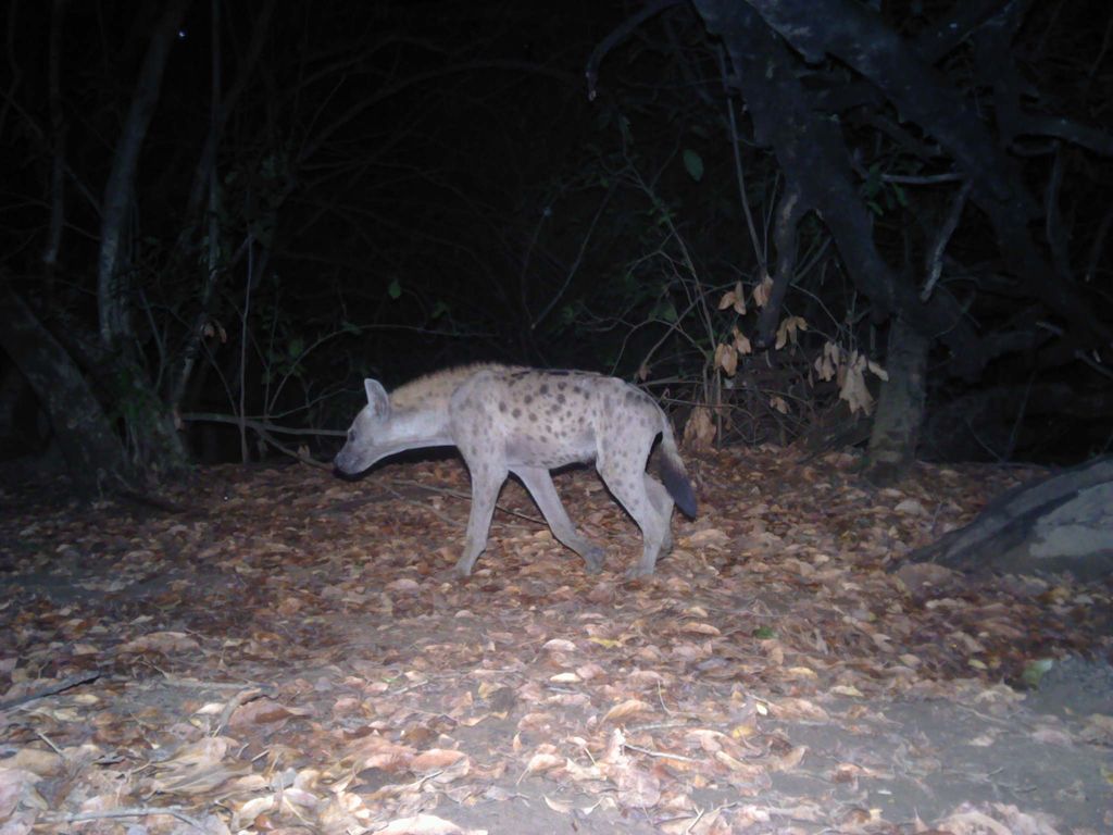 eb9bce50-5e6e-4653-a525-abe0eedf744b