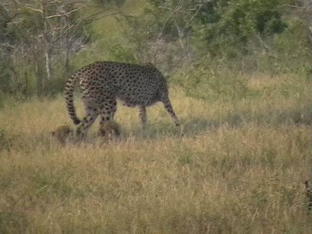 65cde951-ae02-46d0-b05d-5a32badd5049