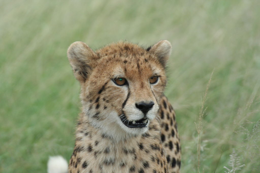 56c5ba77-0f28-4fbb-83d0-08acfe4ed135