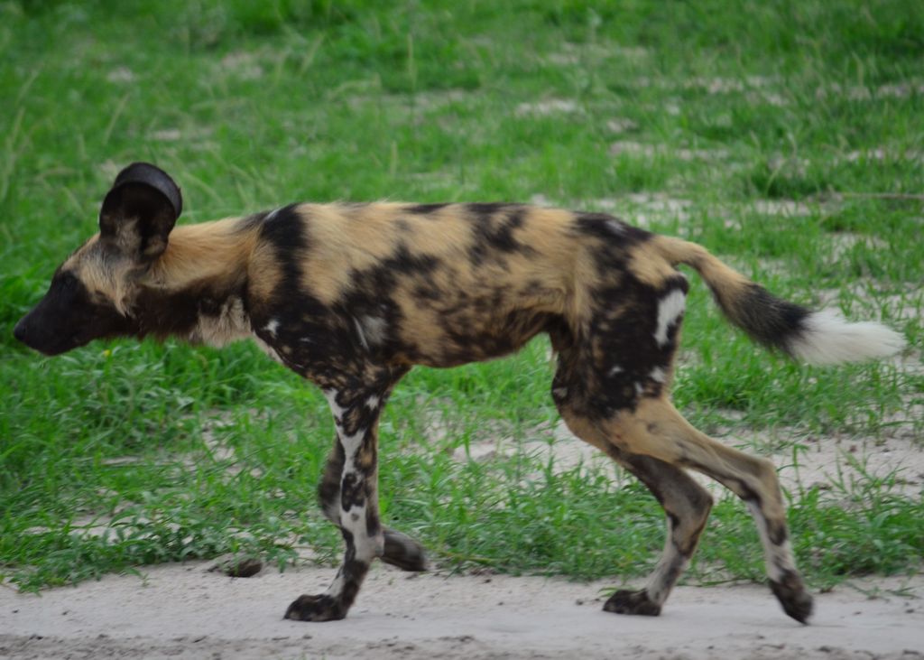 13836c95-588c-4e21-9d6f-fc41798277ea