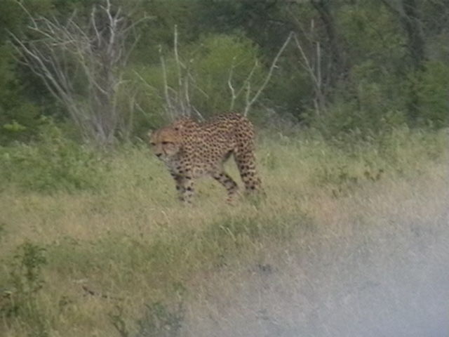 65cde951-ae02-46d0-b05d-5a32badd5049