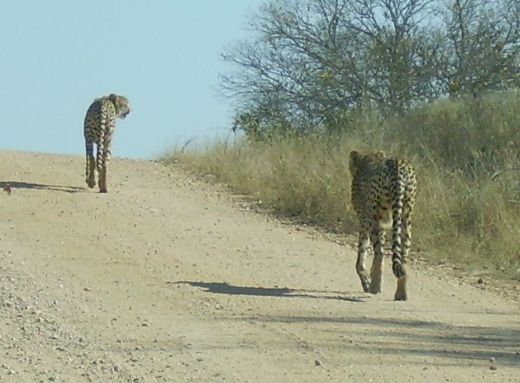 f8038d85-50c9-4366-87ac-5bda06bc684d