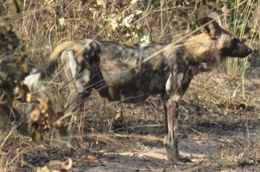 9eaf6b21-4cdd-4e14-8a48-2deb37483ef6