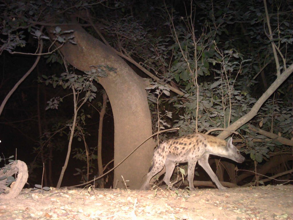 eb9bce50-5e6e-4653-a525-abe0eedf744b