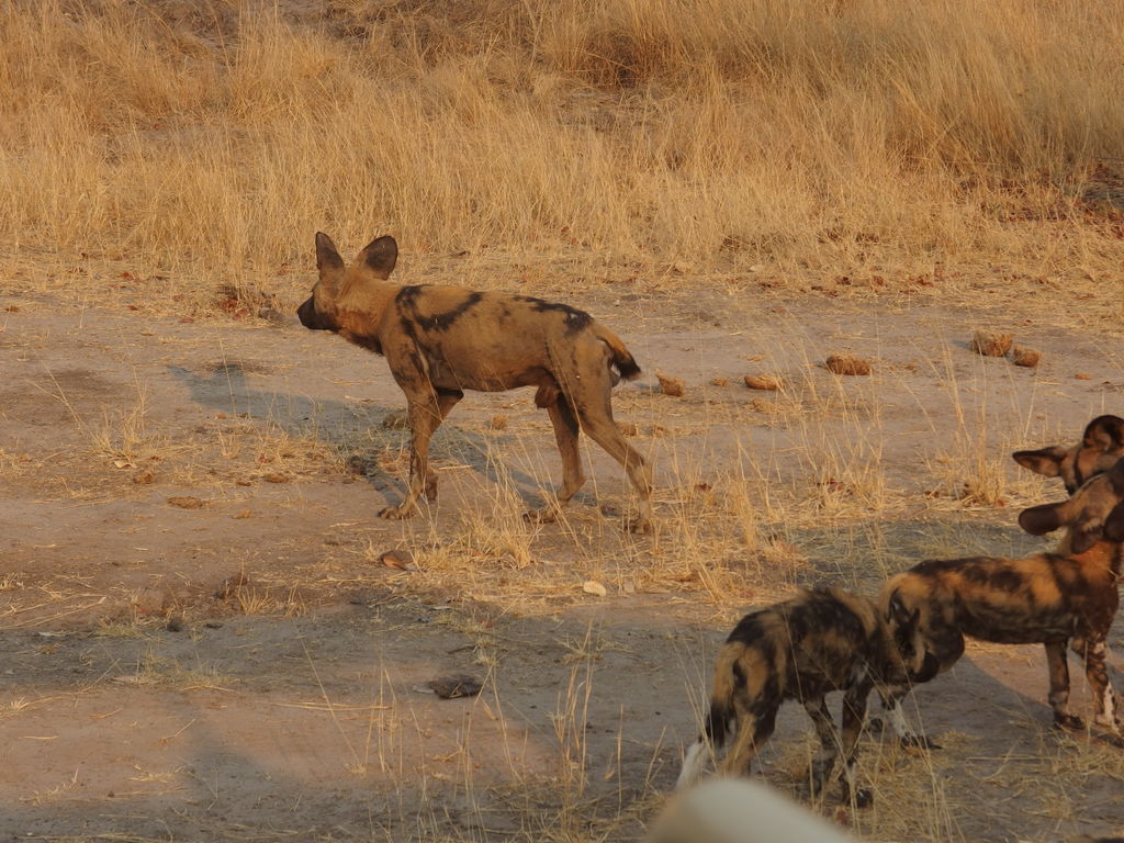 68b8f324-7ddb-488e-b836-915b45cebf64