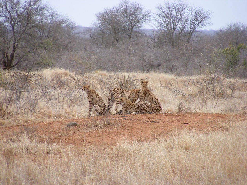 f623f117-1dd6-49b6-bc26-821920c54781